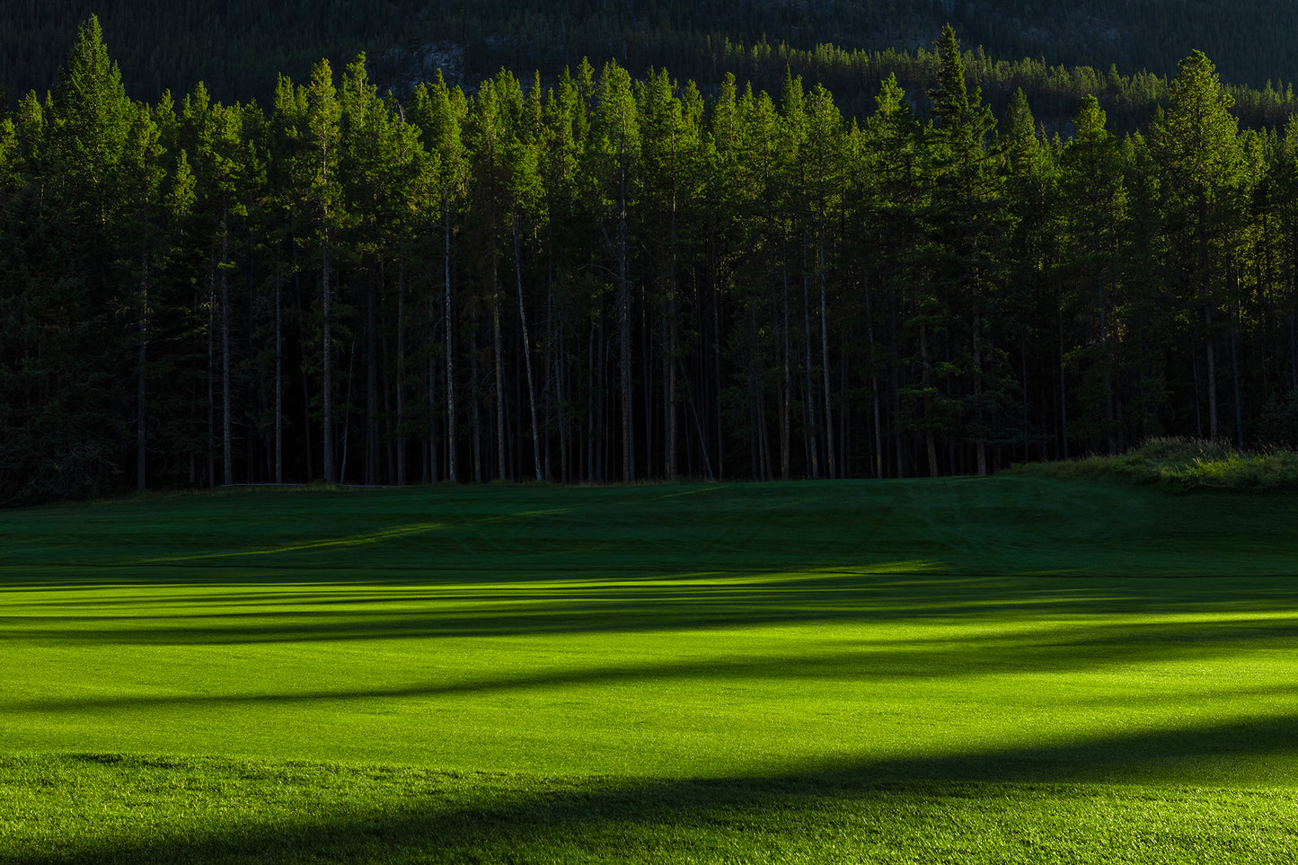 "Perfect Green" - Banff Springs - Open Edition