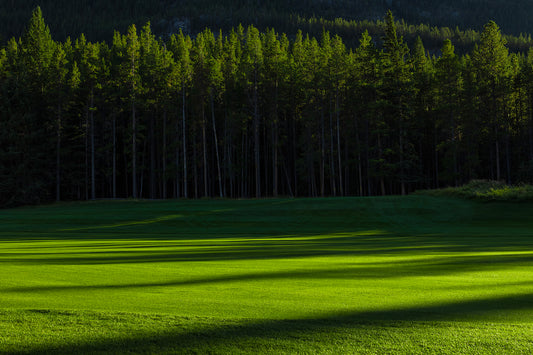 "Perfect Green" - Banff Springs - Open Edition